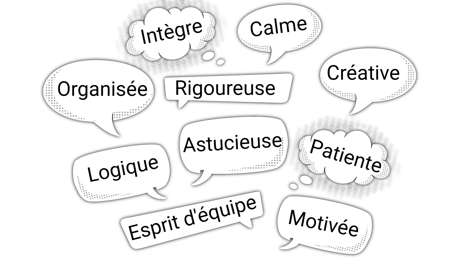 Rigoureuse, Organisée, Créative, Astucieuse, Logique, Patiente, Esprit d'équipe, Motivée, Intègre, Calme